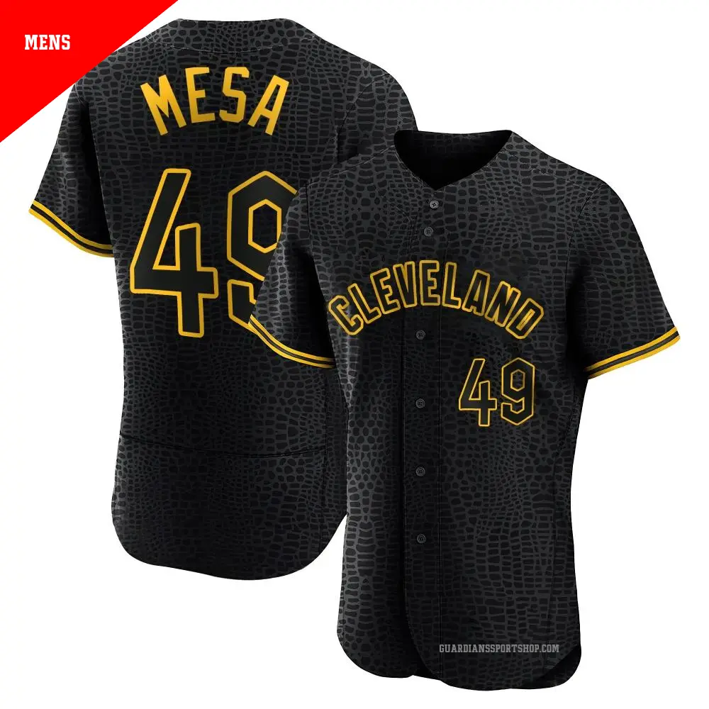 Men's ＃49 Jose Mesa Cleveland Guardians Black Authentic Snake Skin City Jersey
