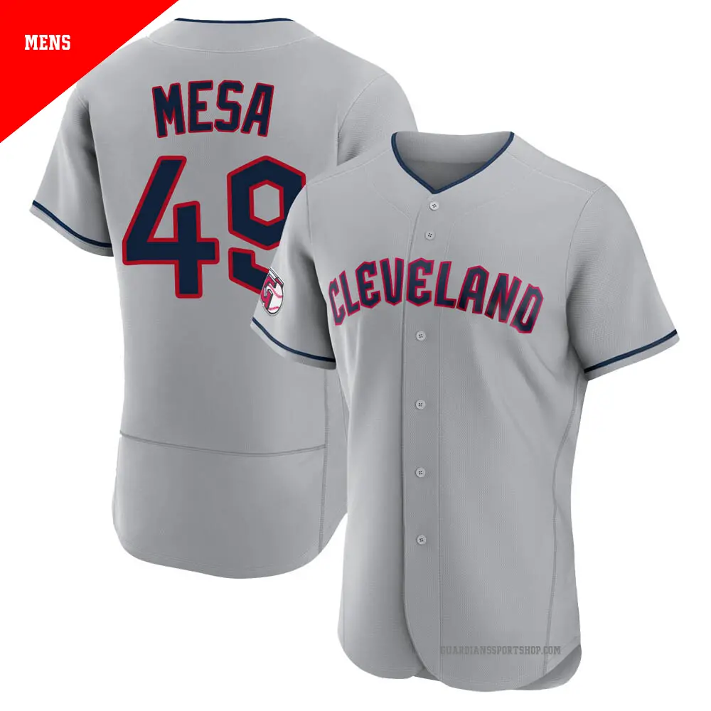 Men's ＃49 Jose Mesa Cleveland Guardians Gray Authentic Road Jersey