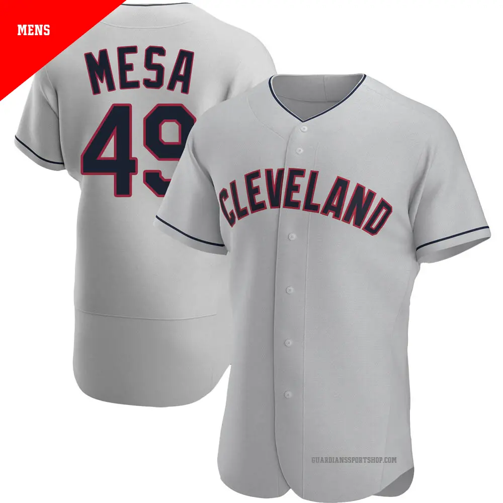 Men's ＃49 Jose Mesa Cleveland Guardians Gray Authentic Road Jersey