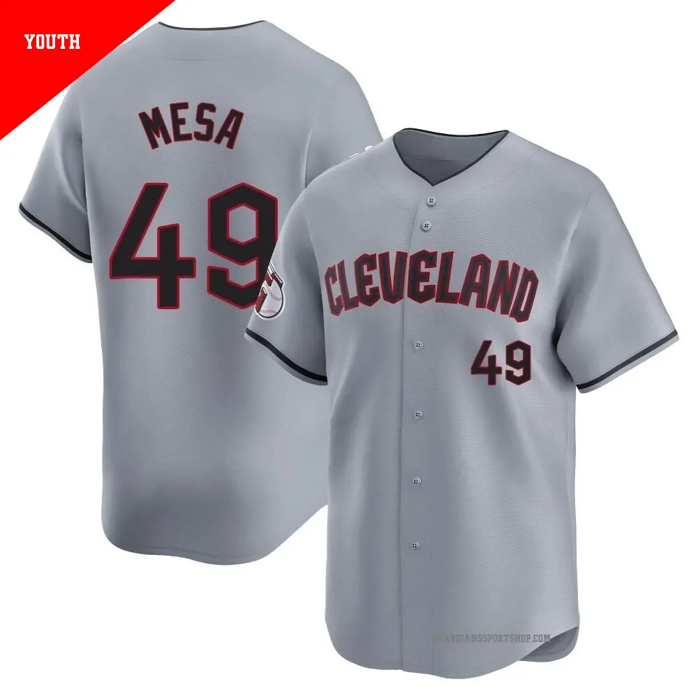 Youth ＃49 Jose Mesa Cleveland Guardians Gray Limited Road Jersey